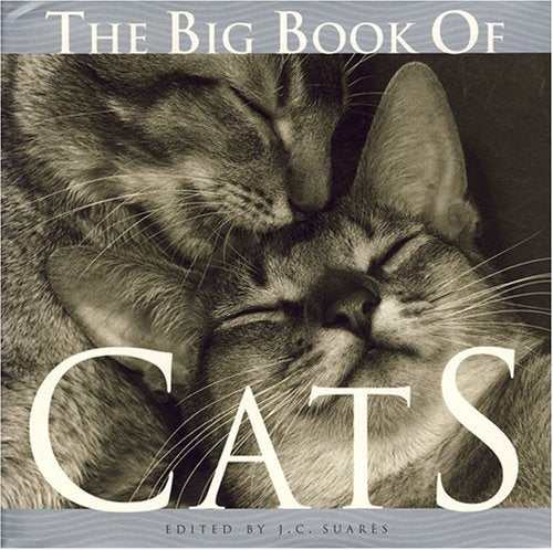 Big Book of Cats, The Lifestyle