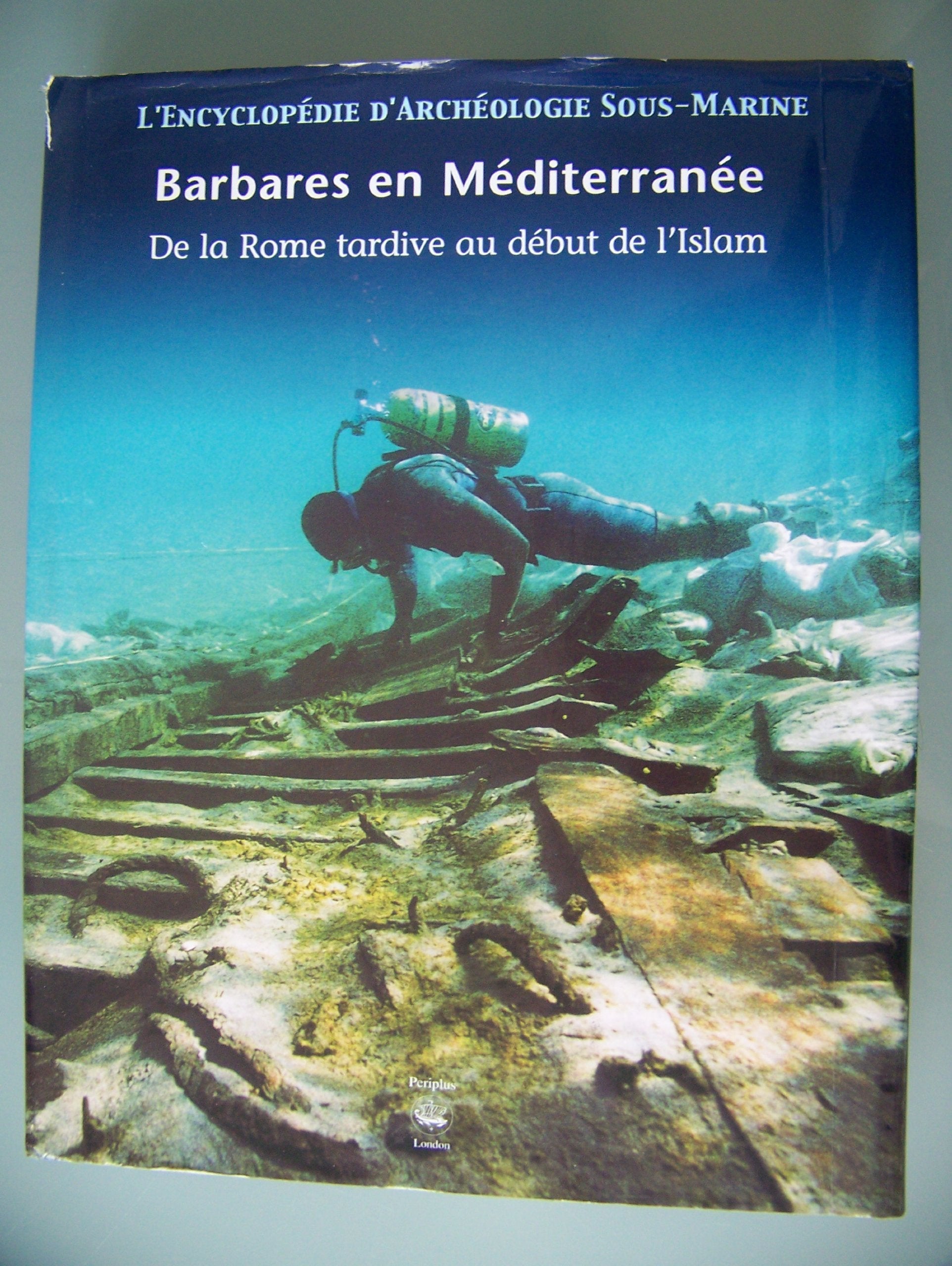 Barbares en méditerranée : De la Rome tardive au début de l'Islam book