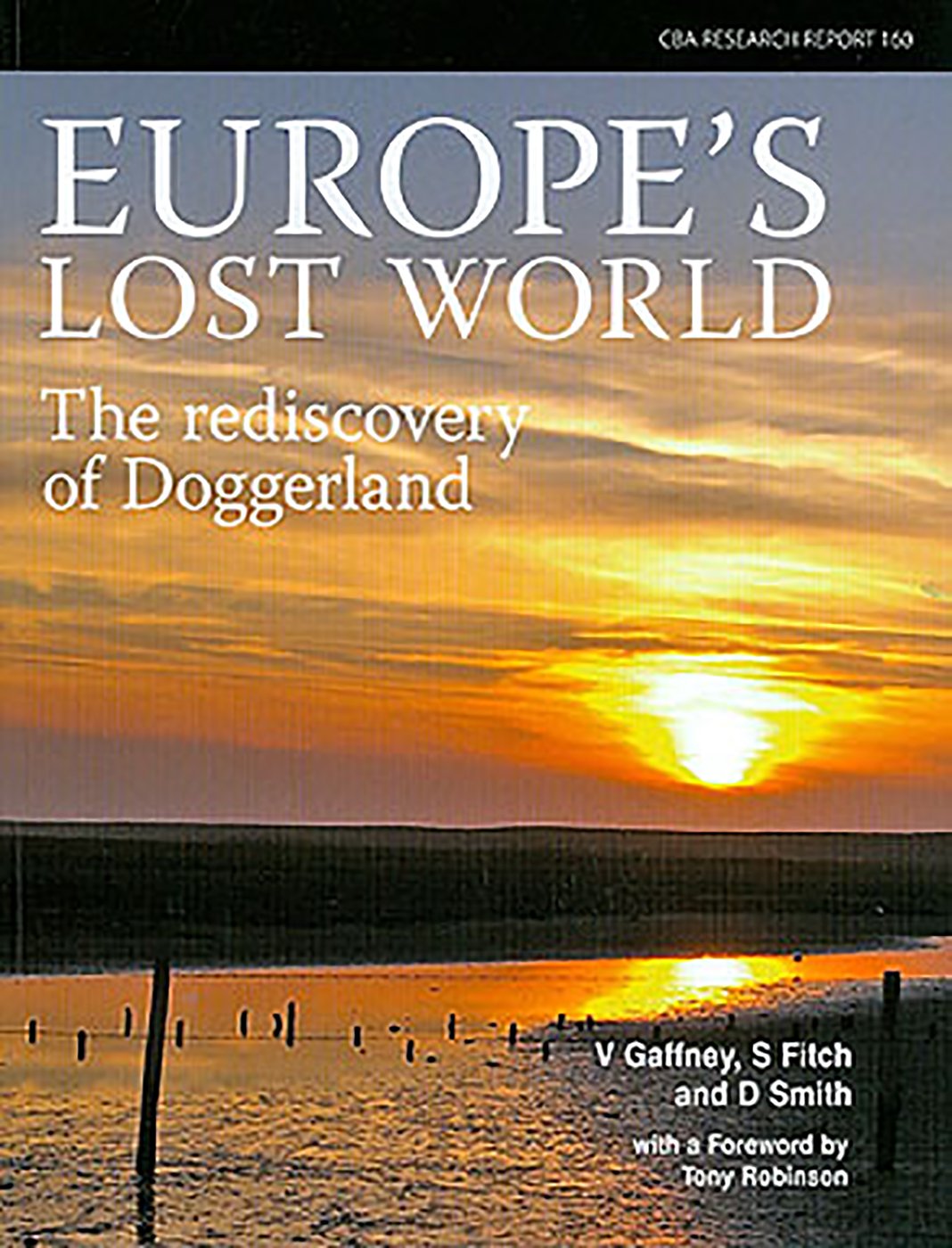 Europe's Lost World: The Rediscovery of Doggerland (Reseach Report, Band 160) Social Sciences