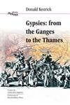 Gypsies: From the Ganges to the Thames book