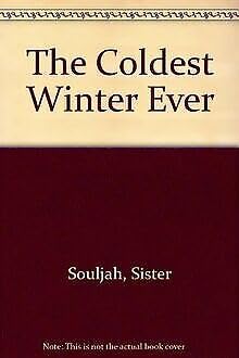 The Coldest Winter Ever Contemporary literature