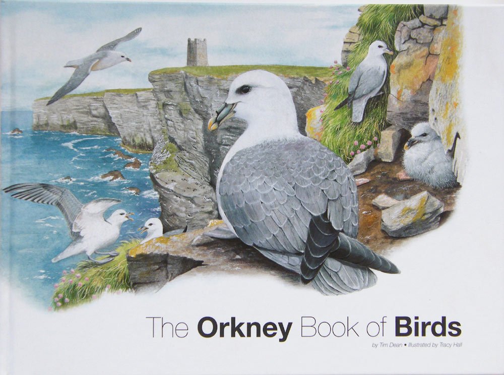 The Orkney Book of Birds book