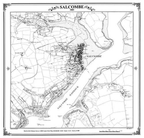 Salcombe 1885 Map (Heritage Cartography Victorian Town Map Series) Geology & Geography