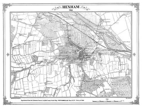 Hexham 1860 Map (Heritage Cartography Victorian Town Map Series) Geology & Geography