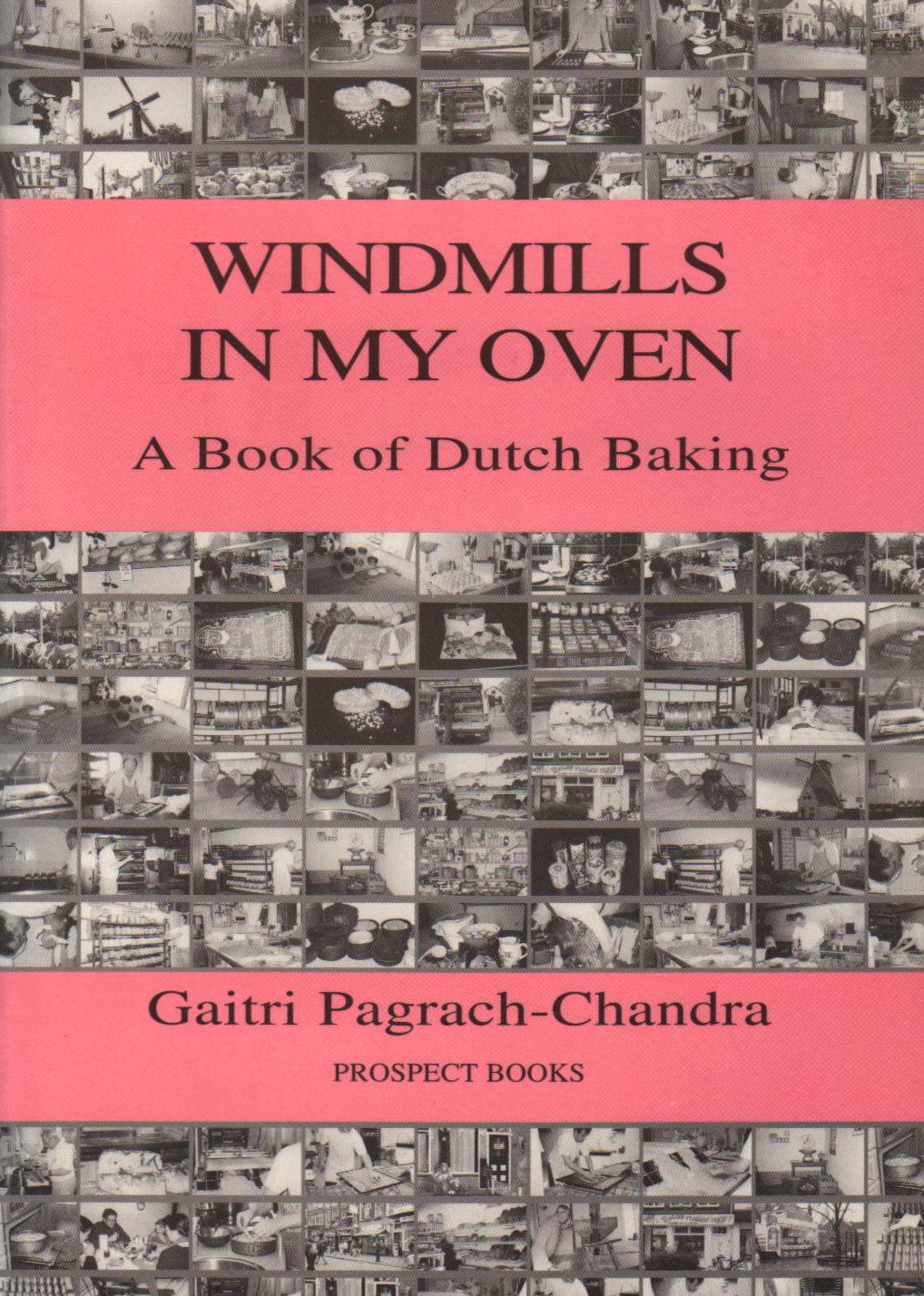 Windmills in My Oven book