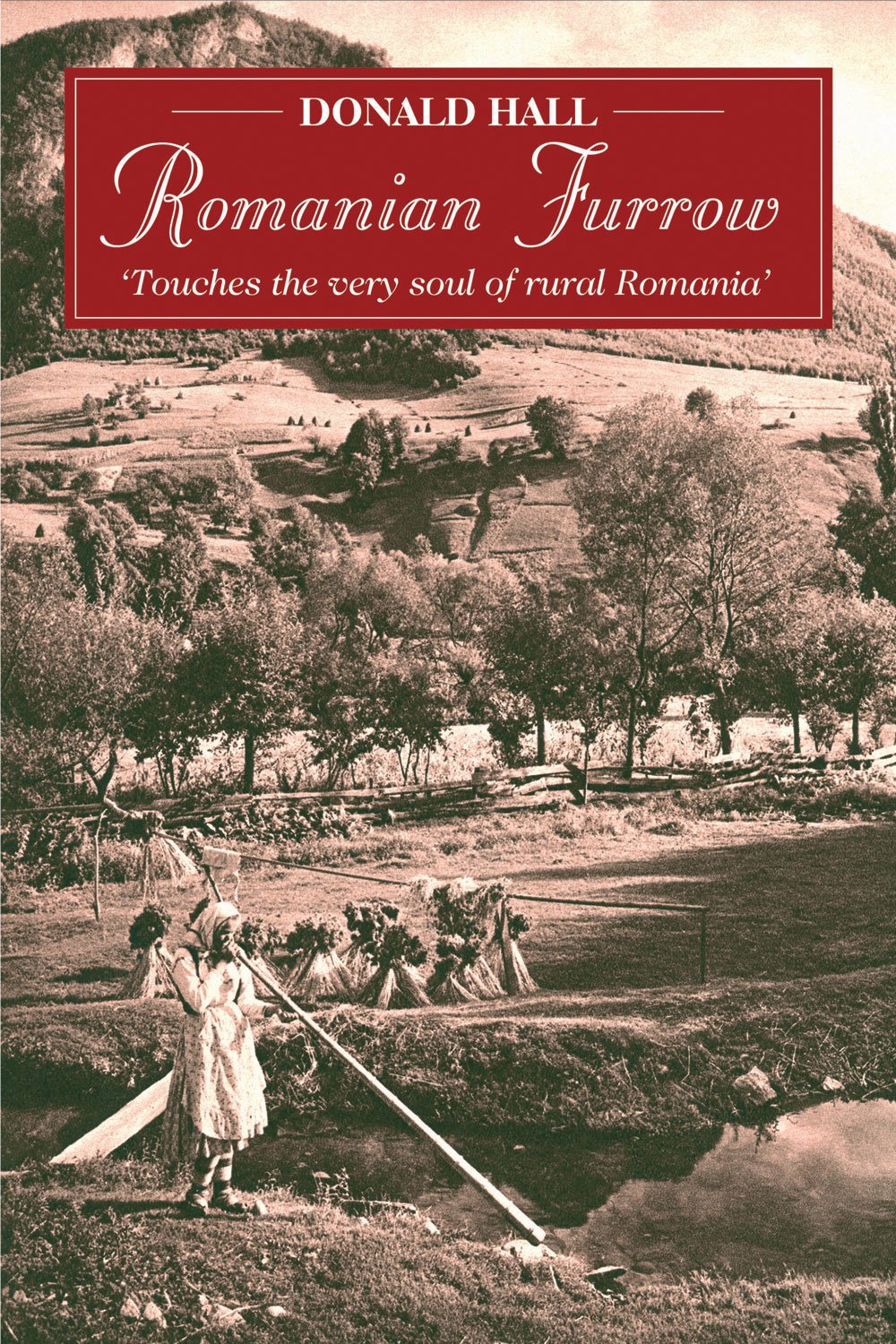 Romanian Furrow: Colourful Experiences of Village Life Leisure, Home & Garden