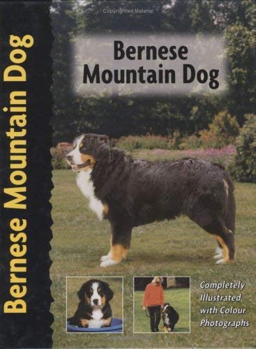 Bernese Mountain Dog (Petlove S.) book