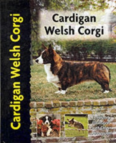 Cardigan Welsh Corgi (Petlove S.) Pets