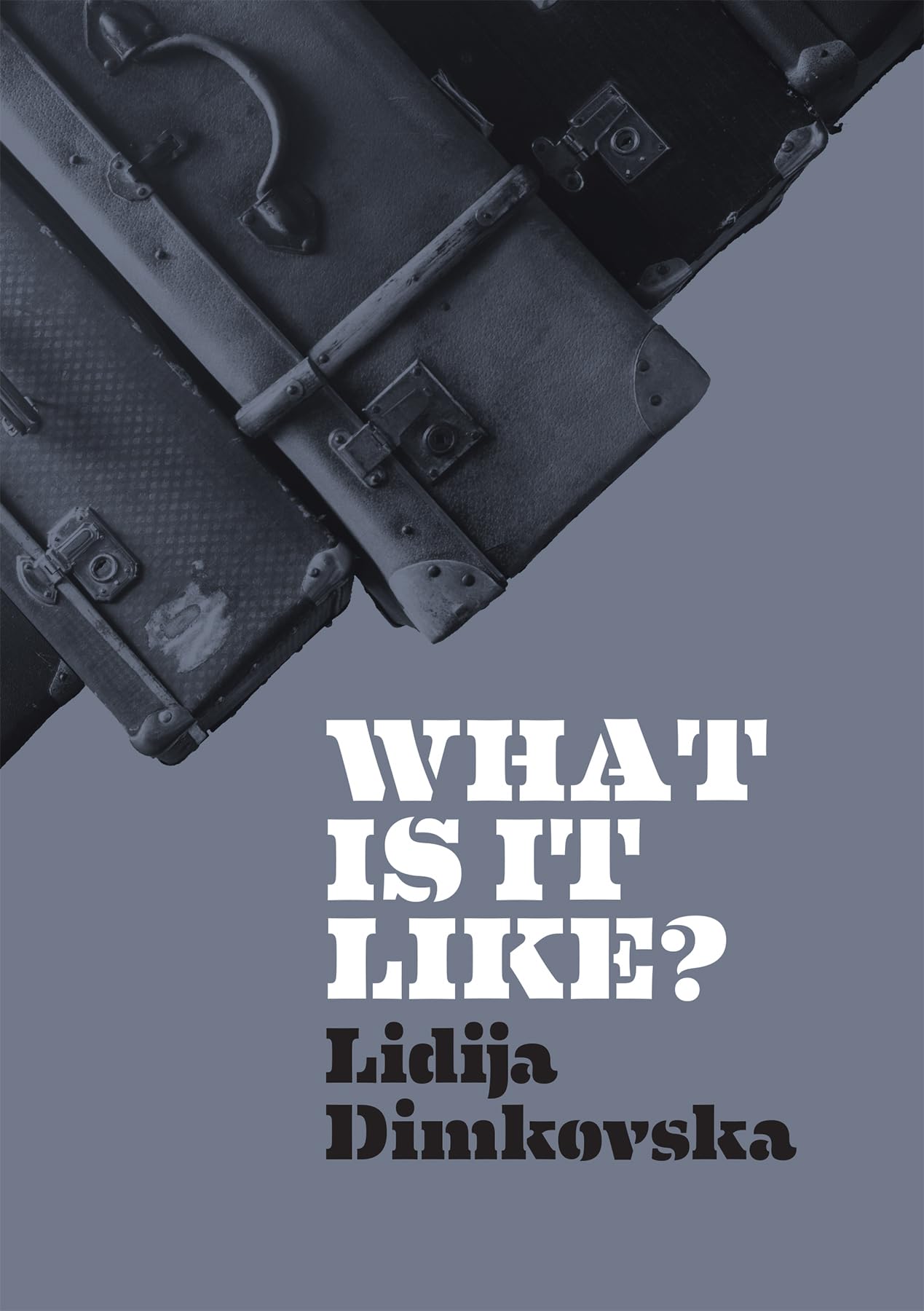 Product Image: What Is It Like?