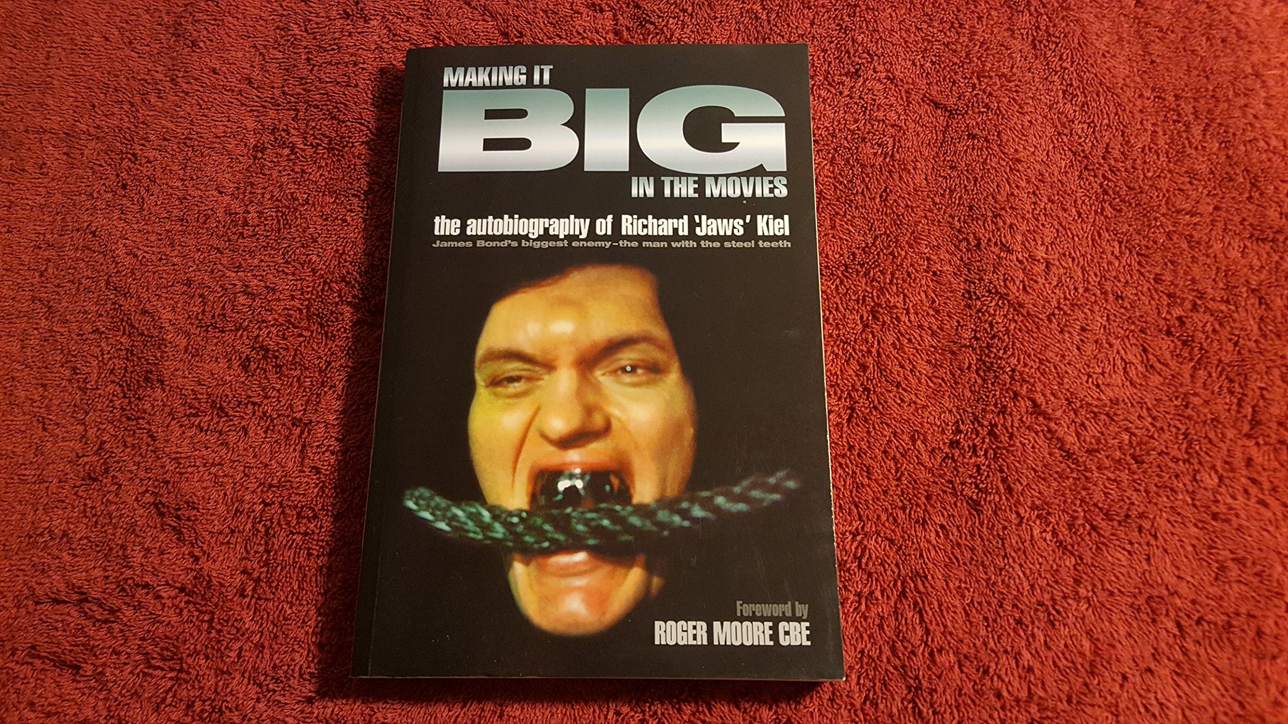 Making It Big in the Movies book