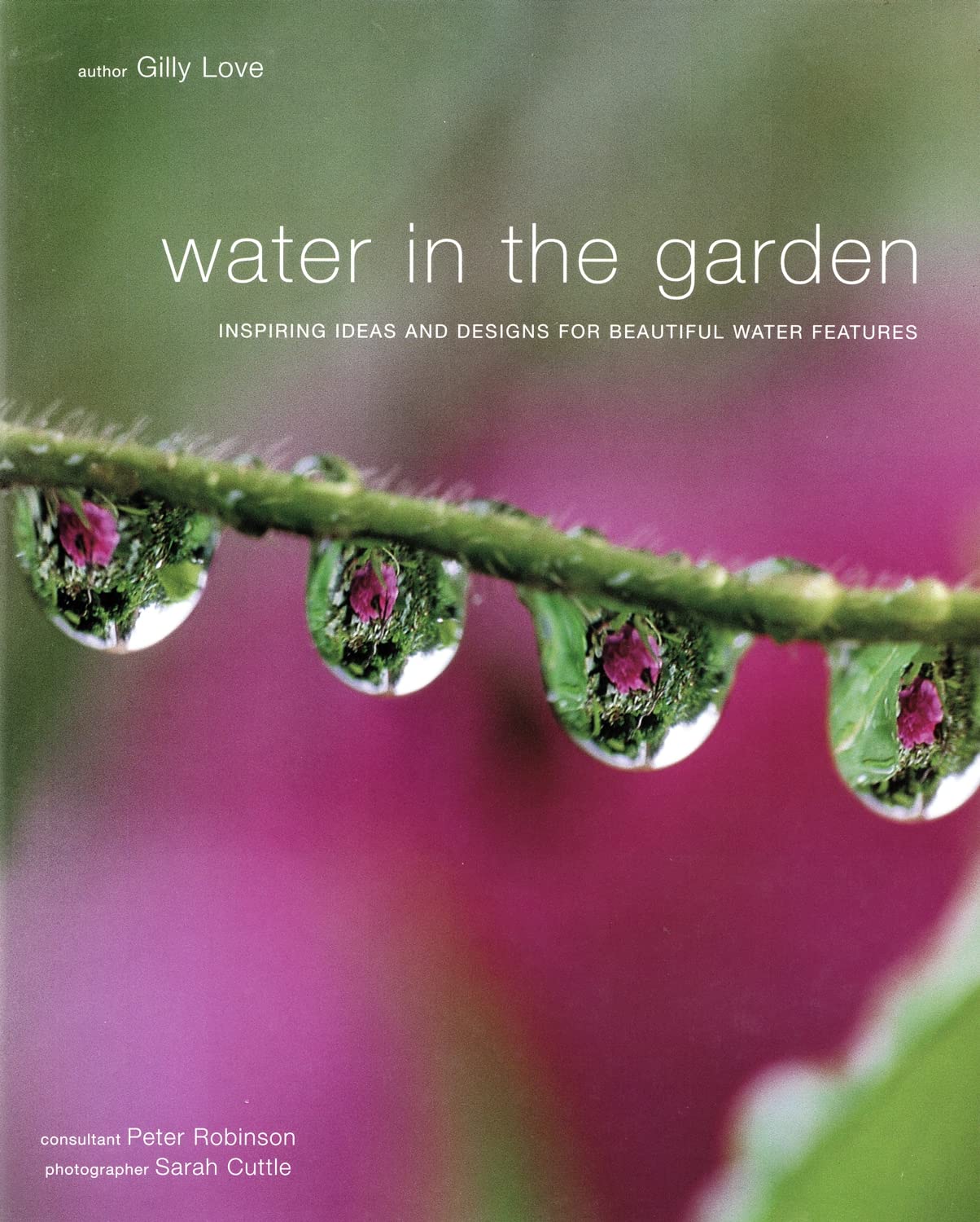 Water in the Garden: Inspiring Ideas and Designs for Beautiful Water Features Architecture