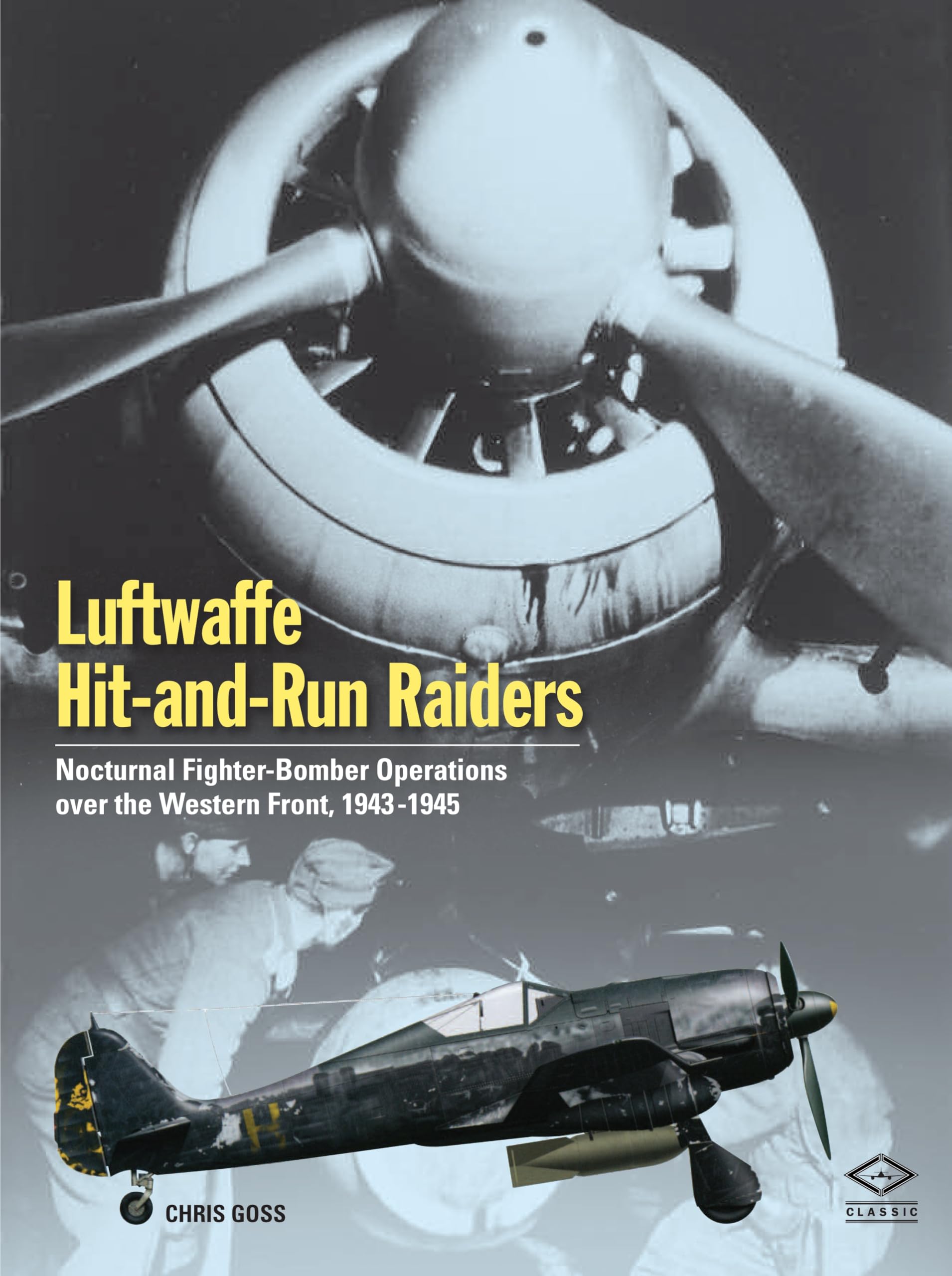 Luftwaffe Hit-and-Run Raiders: Nocturnal Fighter-Bomber Operations over the Western Front 1943-1945 Social Sciences