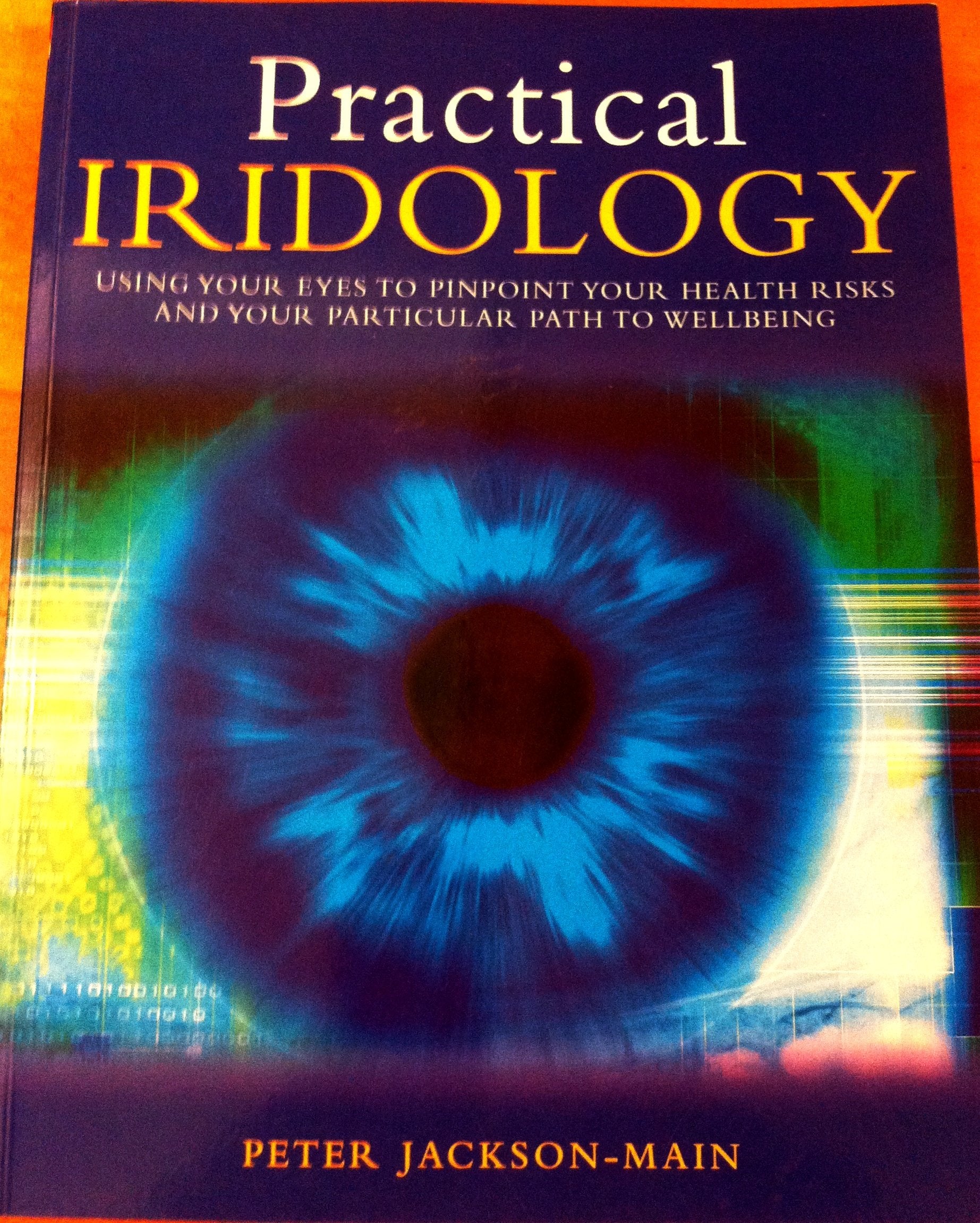 Practical Iridology: Use Your Eyes to Pinpoint Your Health Risks And Your Particular Path to Wellbeing book