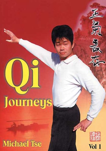 Qi Journeys: v. 1: Collected Stories by Michael Tse (Qi Journeys: Collected Stories by Michael Tse) Leisure & Fun
