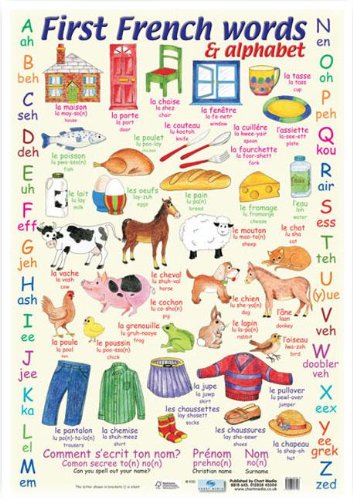 Product Image: First French Words and Alphabet