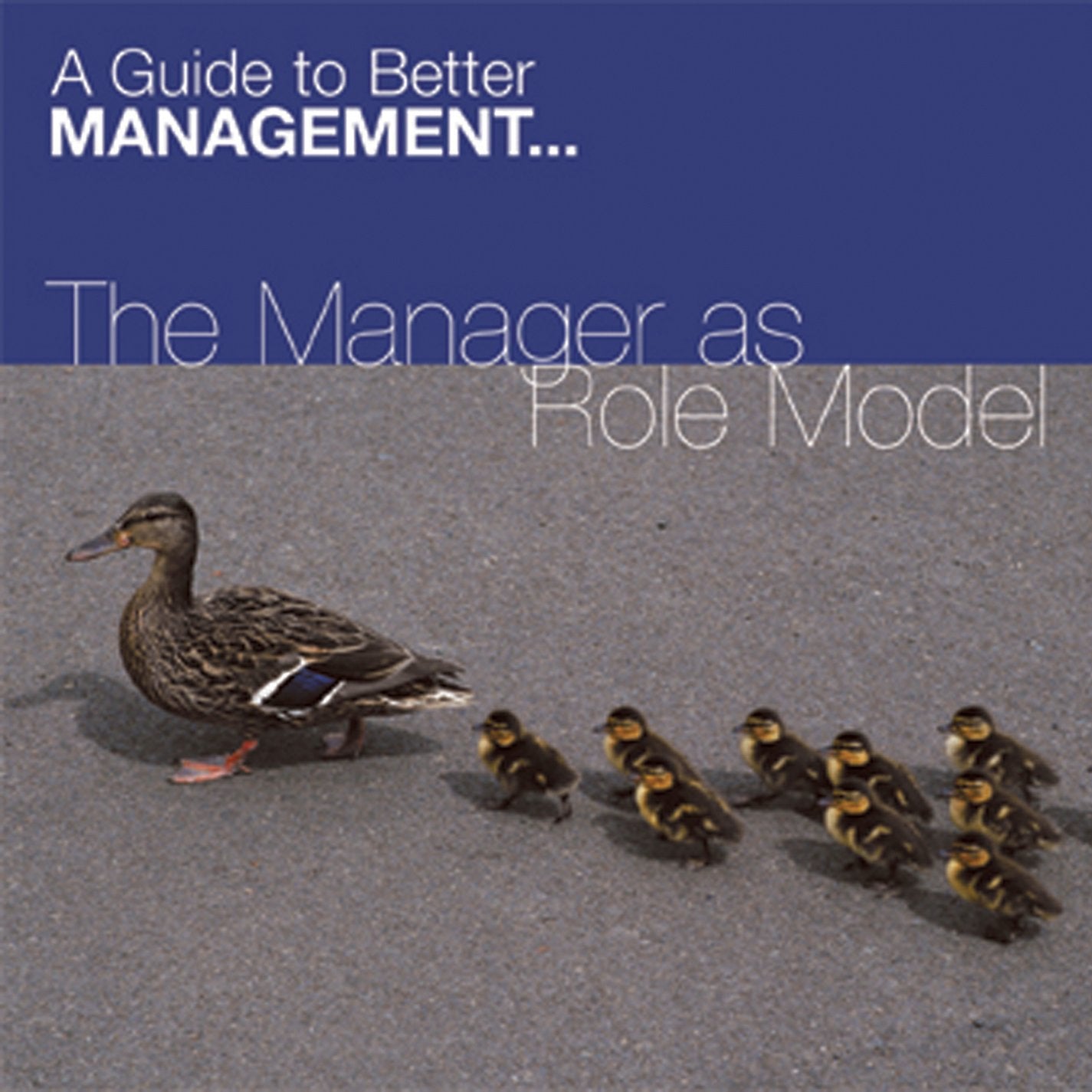 The Magager As Role Model (Fastforward Management Guides) Books