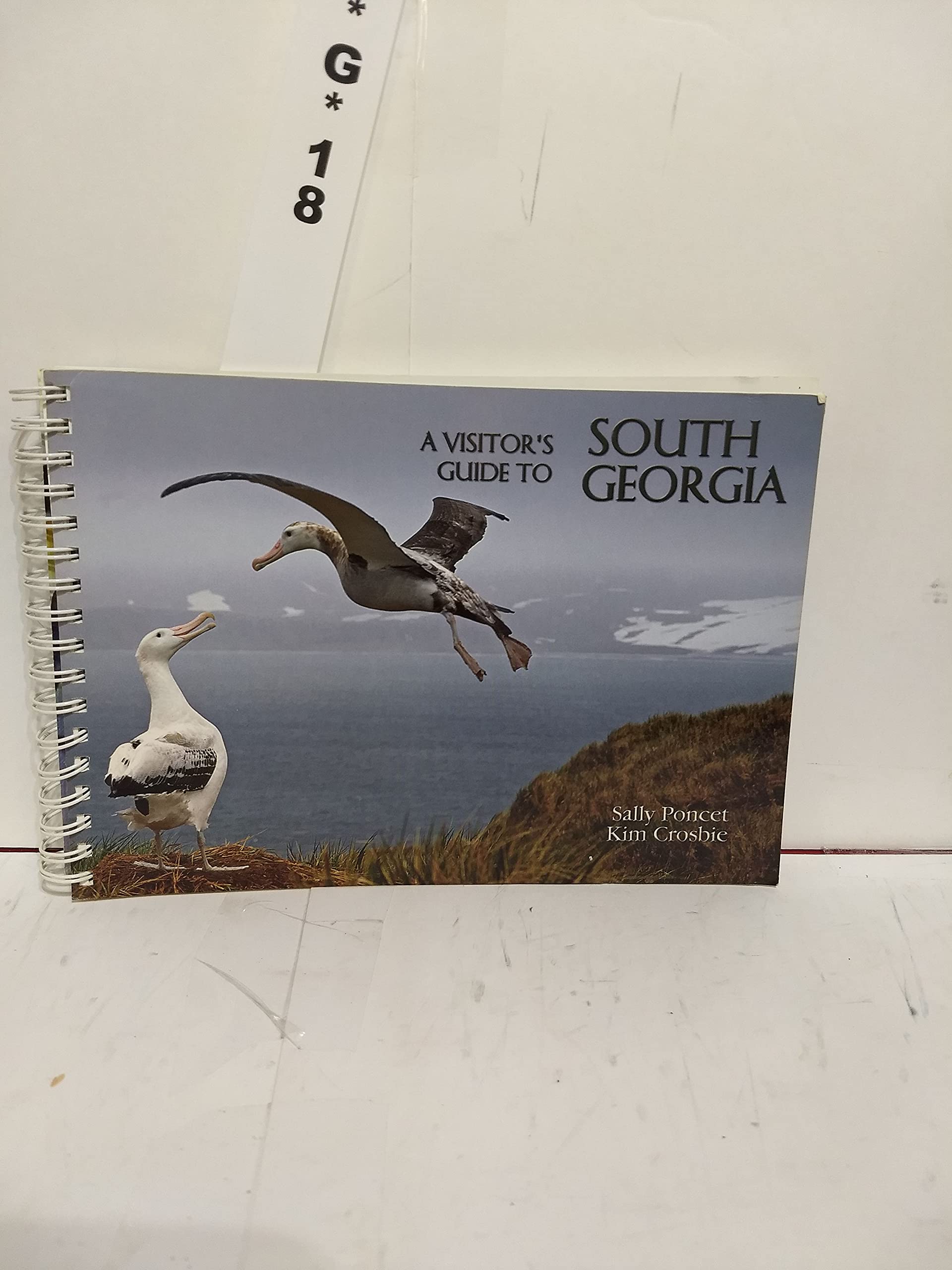 A Visitor's Guide to South Georgia book