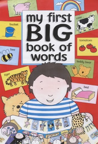 My First Big Book of Words Non-fiction