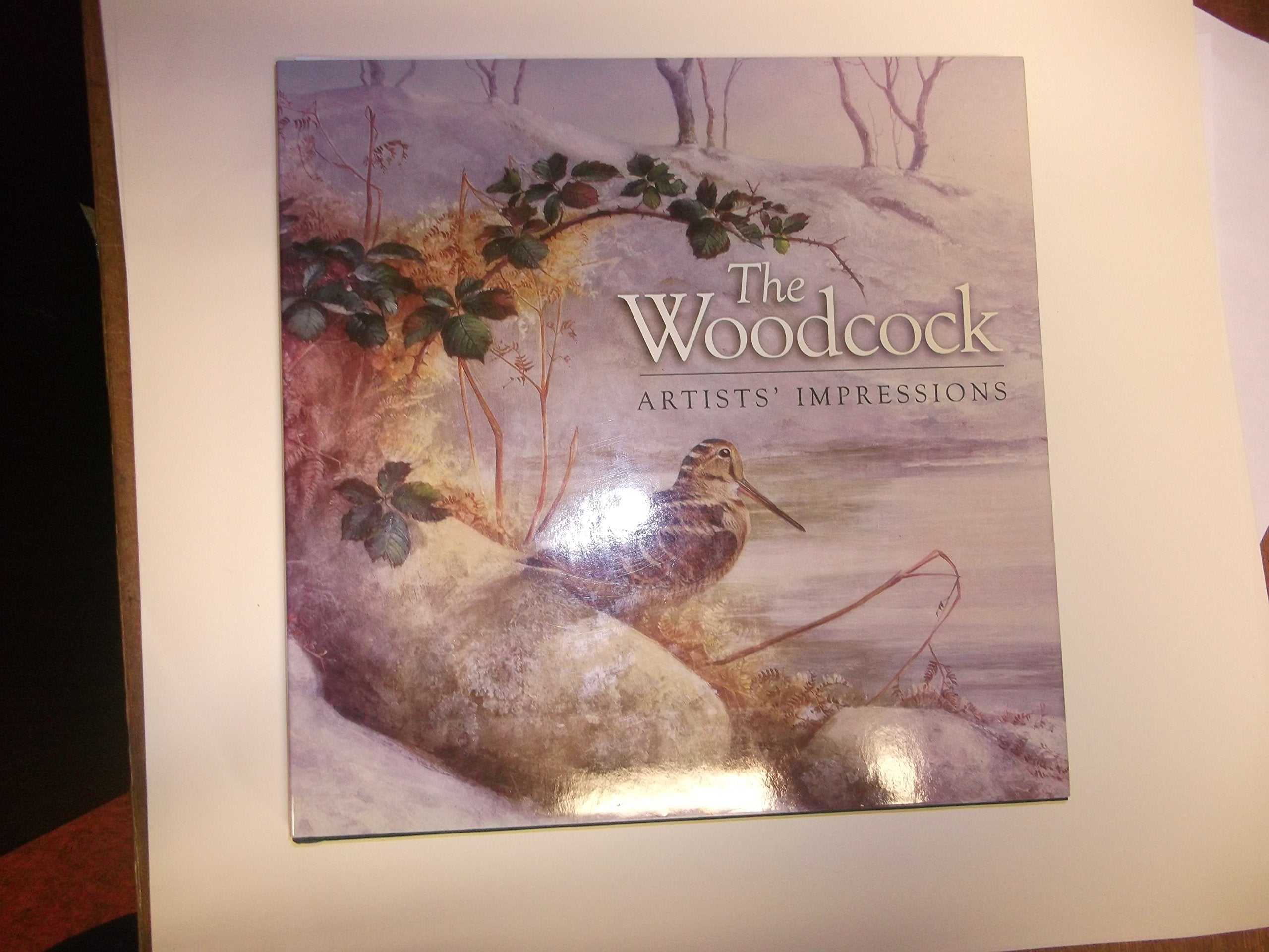 The Woodcock: Artist's Impressions Mathematics