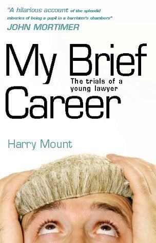 My Brief Career: The Trials of a Young Lawyer Law