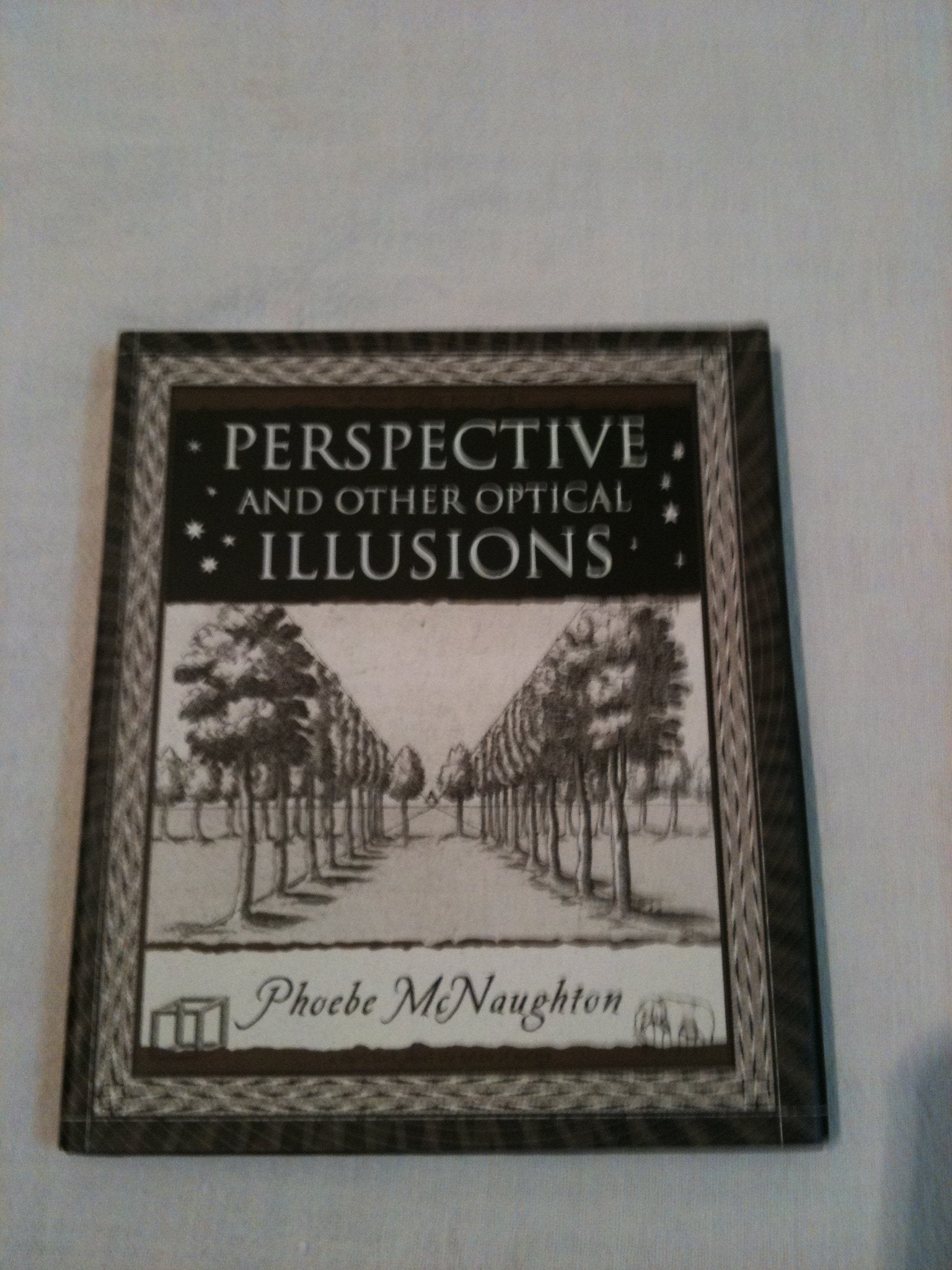 Perspective: and Other Optical Illusions (Wooden Books) Film, Art & Culture