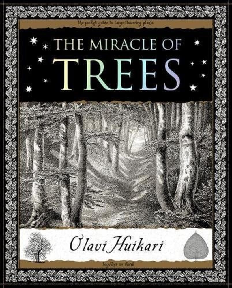The Miracle of Trees Mathematics