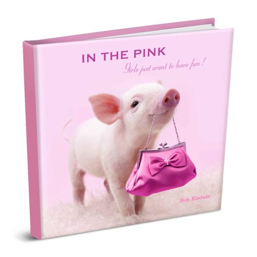 In the Pink: Girls Just Want to Have Fun! (Pretty in Pink Gift Book) Books