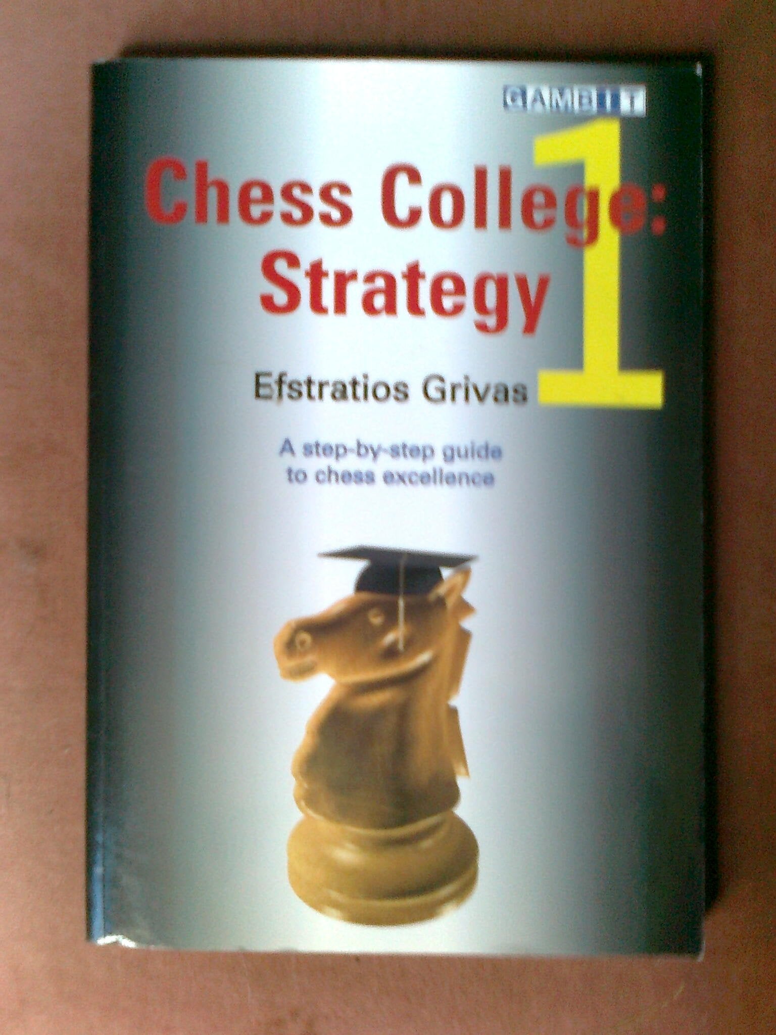 Chess College 1: Stategy (Chess College S.) Leisure & Fun