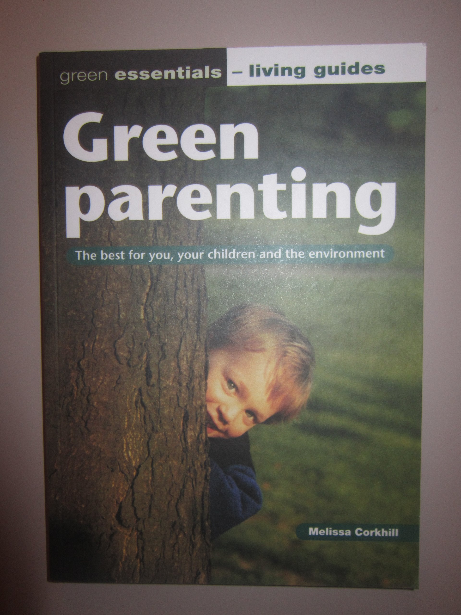 Green Parenting: The Best for You, Your Children and the Environment (Green Essentials - Living Guides S.) Mathematics