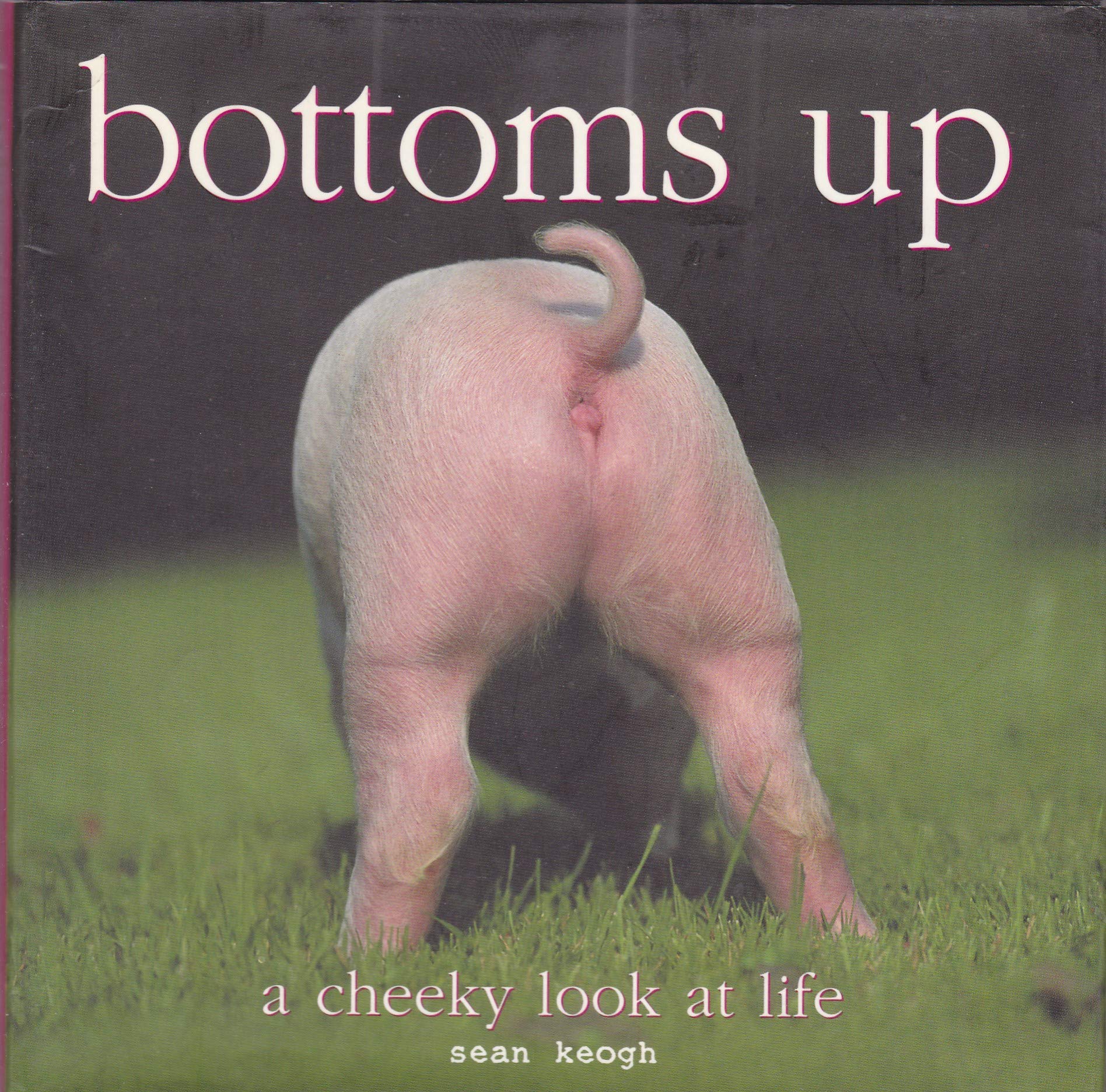 Title: Bottoms up a Cheeky Look at Life book
