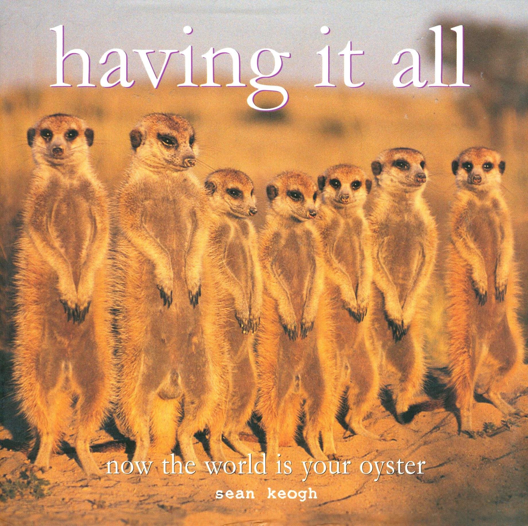 having it all now the world is your oyster Books