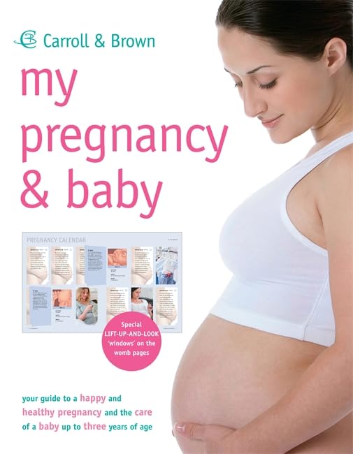 My Pregnancy and Baby book