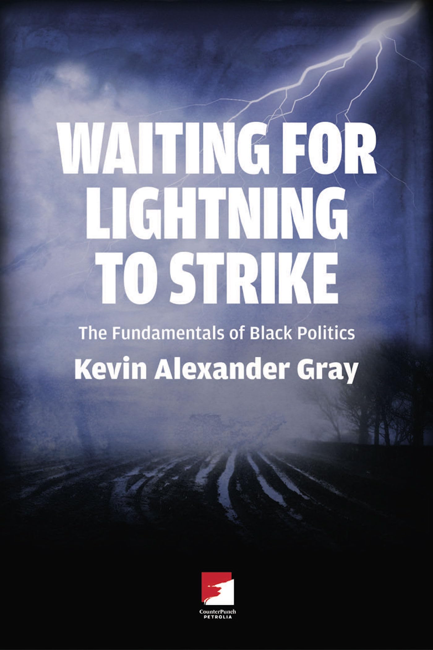 Waiting for Lightning to Strike: The Fundamentals of Black Politics book