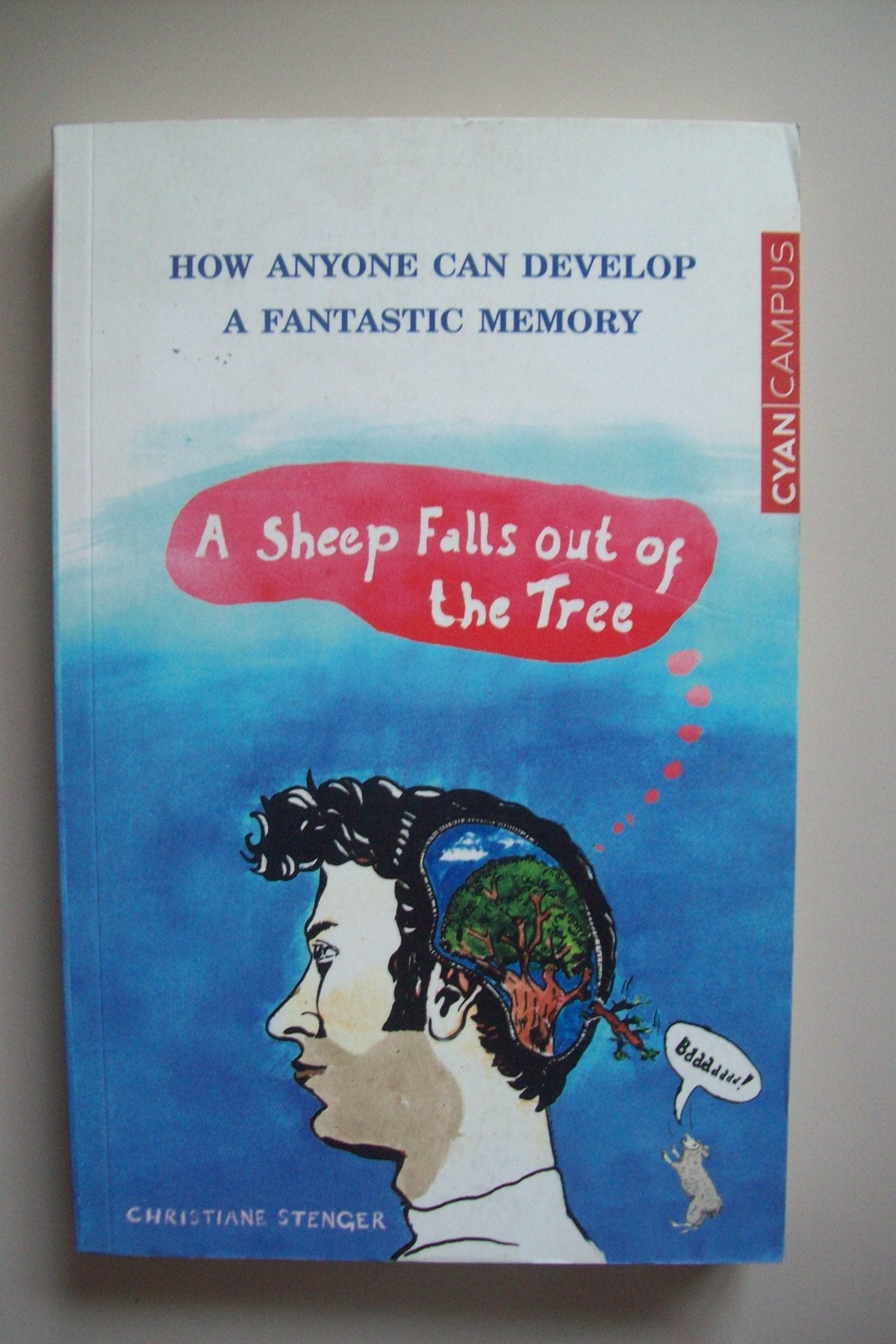 A Sheep Falls Out of the Tree: How Anyone Can Develop a Fantastic Memory book
