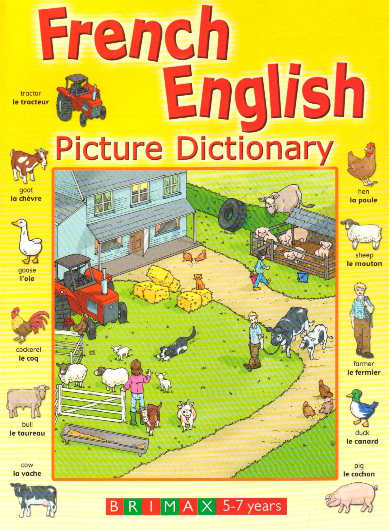 French English Picture Dictionary book