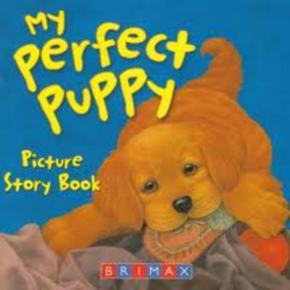 My Perfect Puppy Picture Story Book Books
