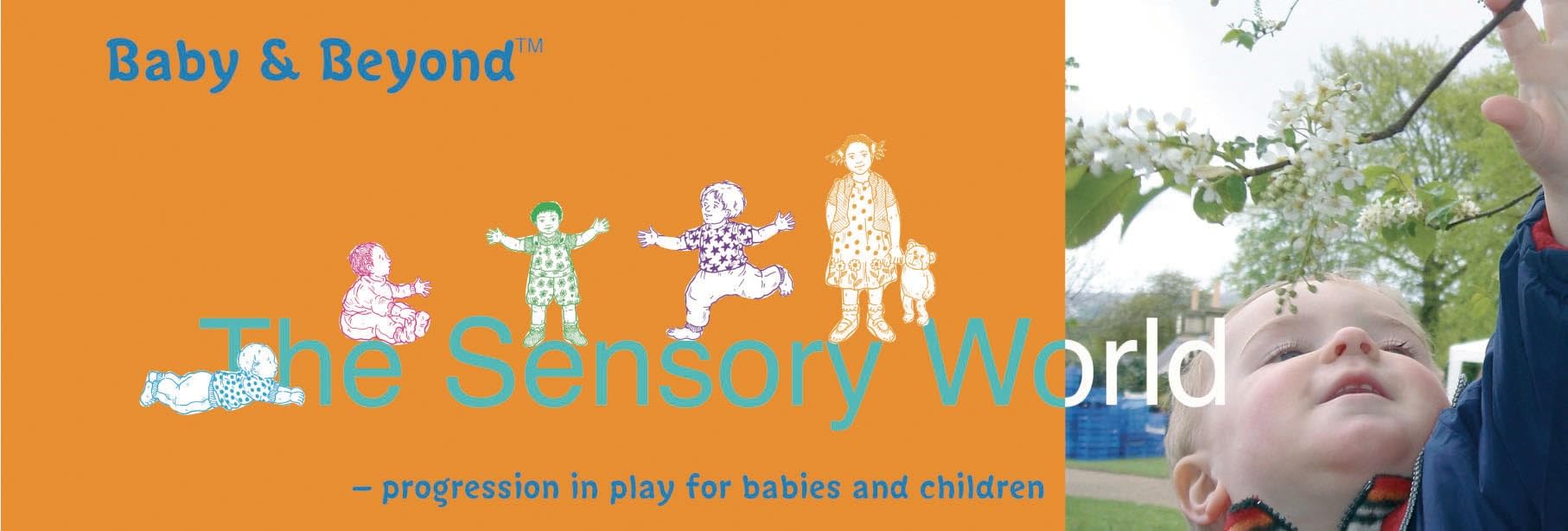 Sensory World: Progression in Play for Babies and Children (Baby and Beyond) Education & Training