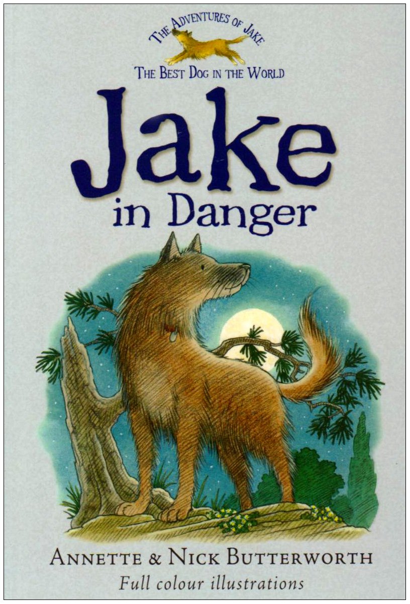 Jake in Danger (Adventures of Jake) Novels & Short Stories
