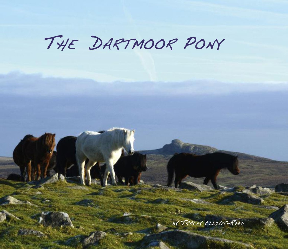 The Dartmoor Pony Pets