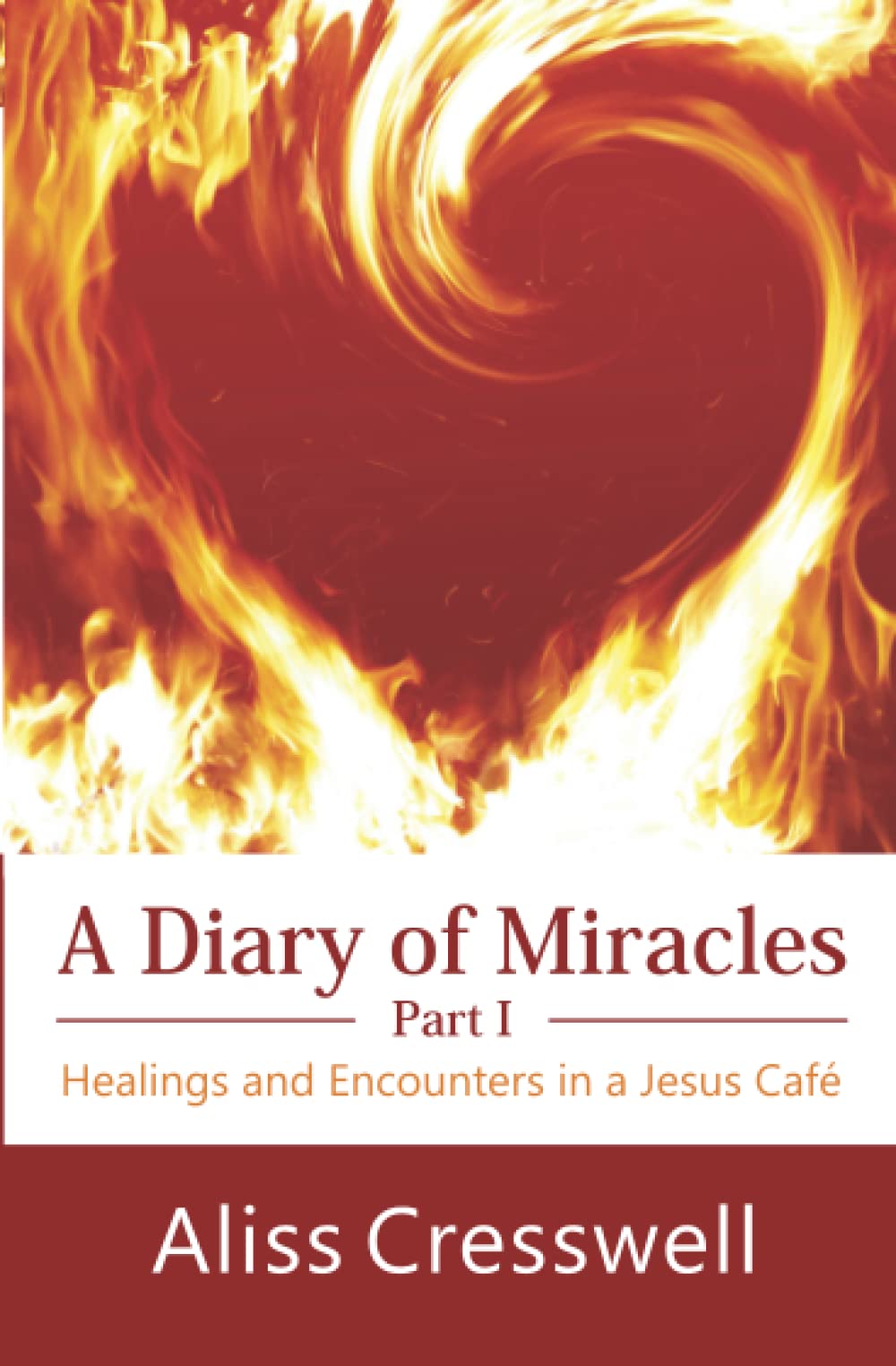 A Diary of Miracles (part I) book