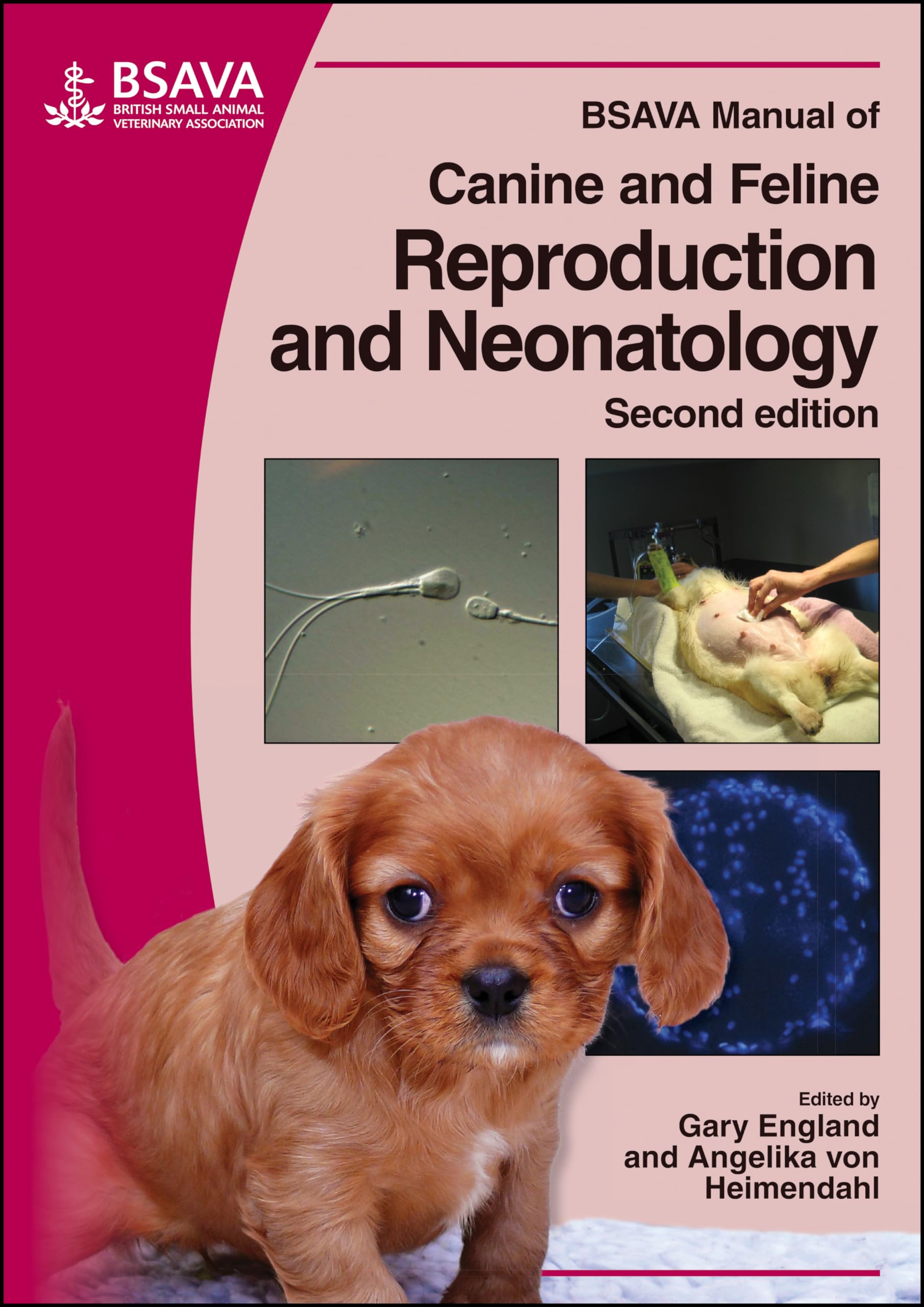 BSAVA Manual of Canine and Feline Reproduction and Neonatology Medicine