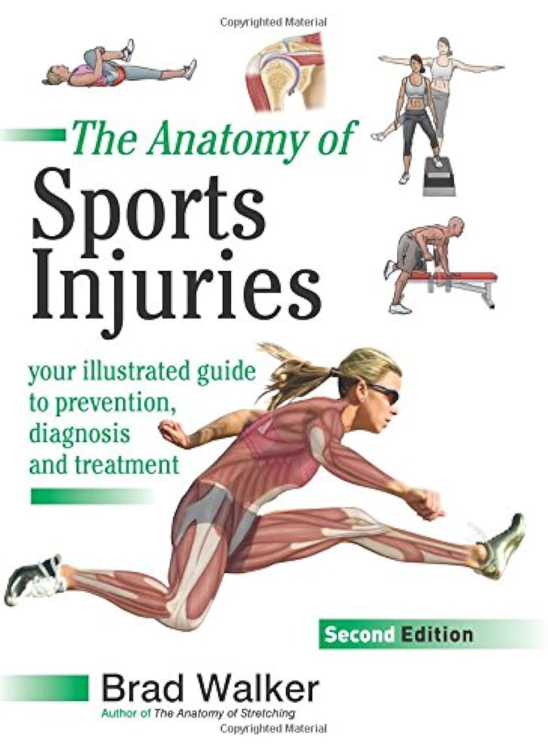 The Anatomy of Sports Injuries: Your Illustrated Guide to Prevention, Diagnosis, and Treatment book