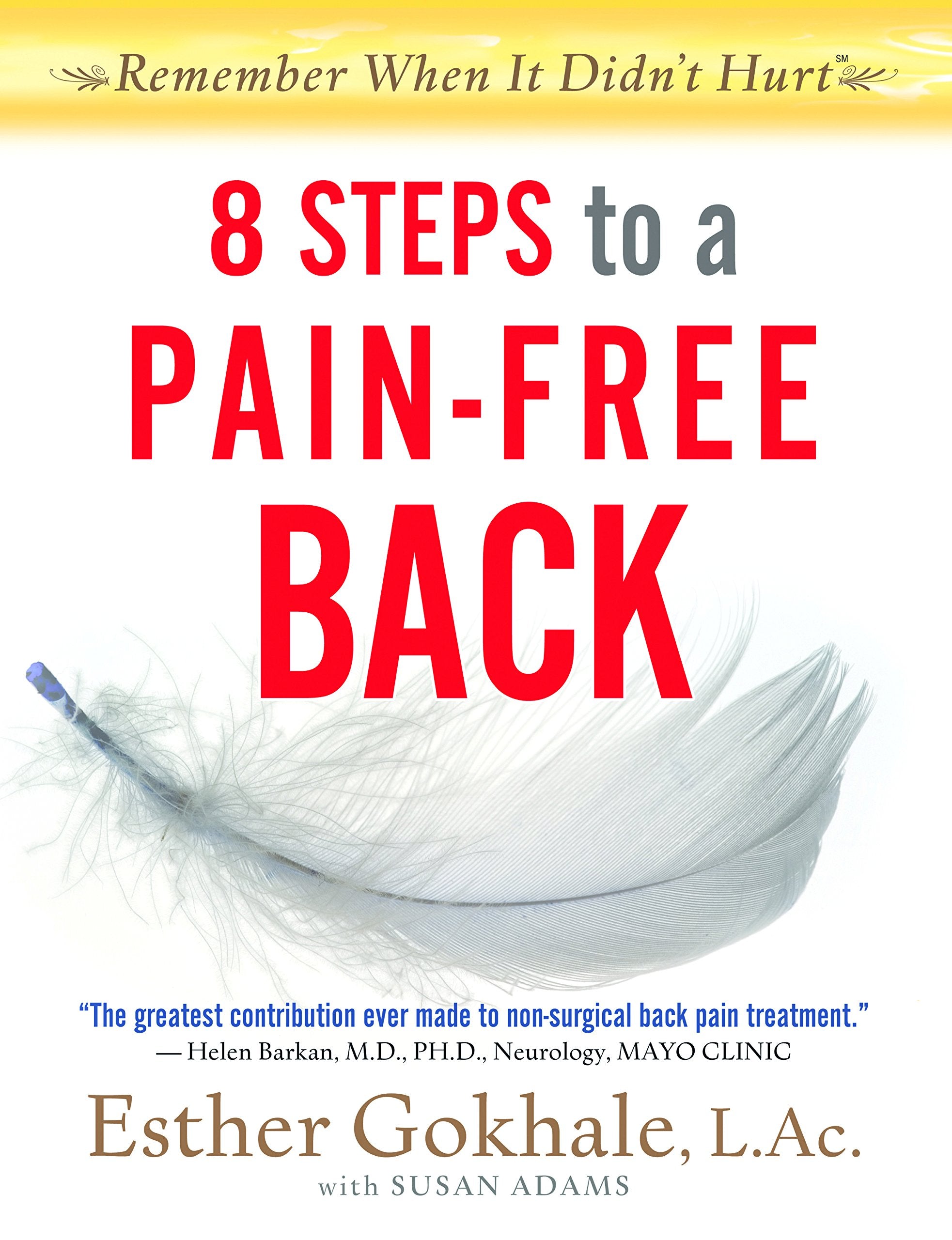8 Steps to a Pain-Free Back: Natural Posture Solutions for Pain in the Back, Neck, Shoulder, Hip, Knee, and Foot Medicine