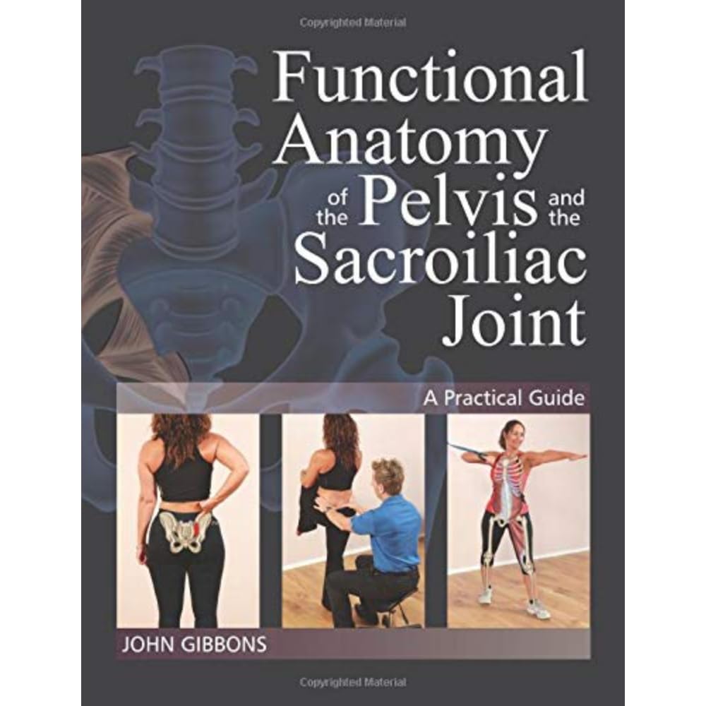 Functional Anatomy of the Pelvis and the Sacroiliac Joint: A Practical Guide Medicine