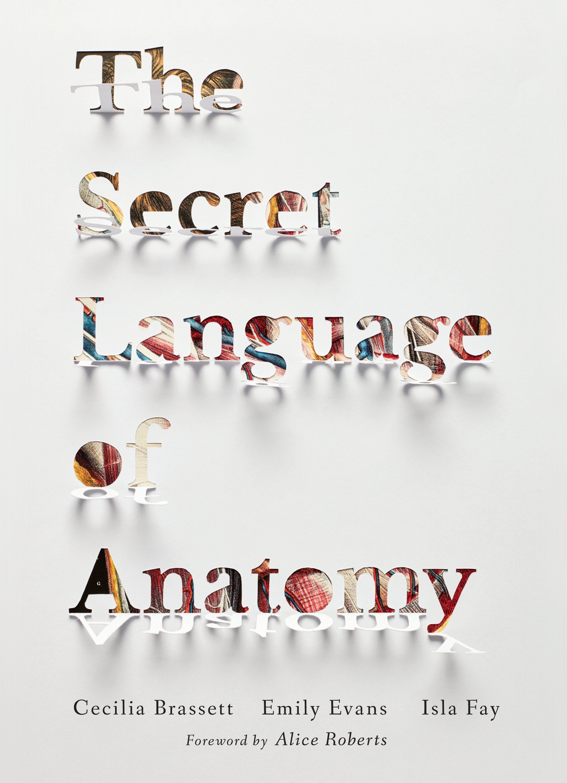 The Secret Language of Anatomy Medicine