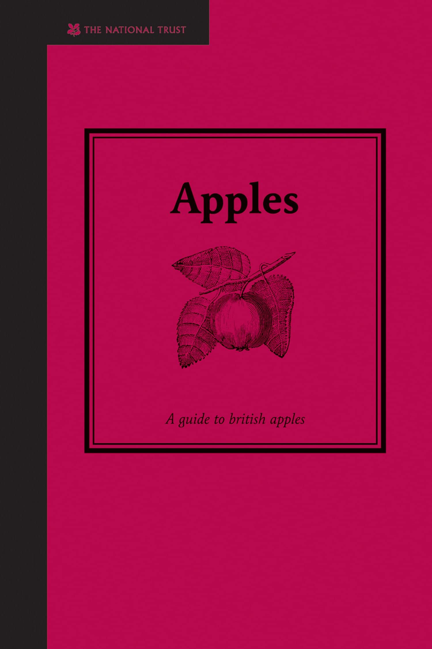 Product Image: Apples: A Guide to British Apples