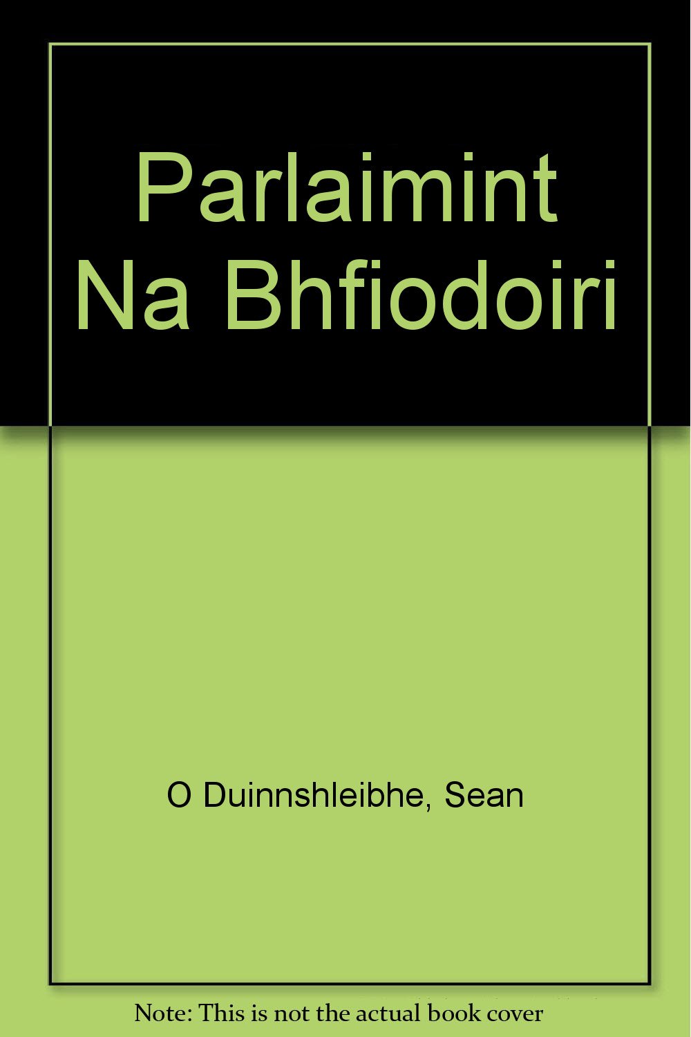 Parlaimint Na Bhfiodoiri book