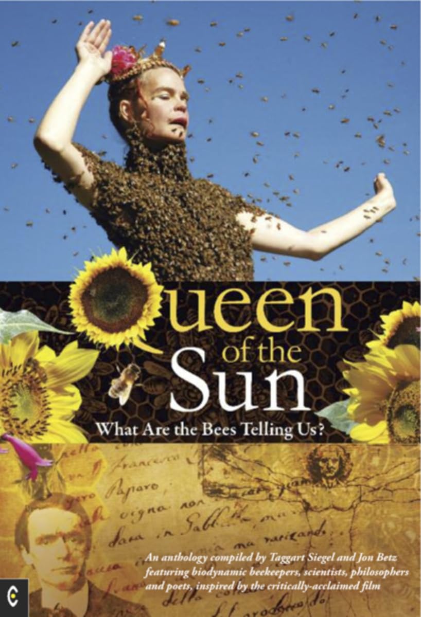 Queen of the Sun: What are the Bees Telling Us? Mathematics