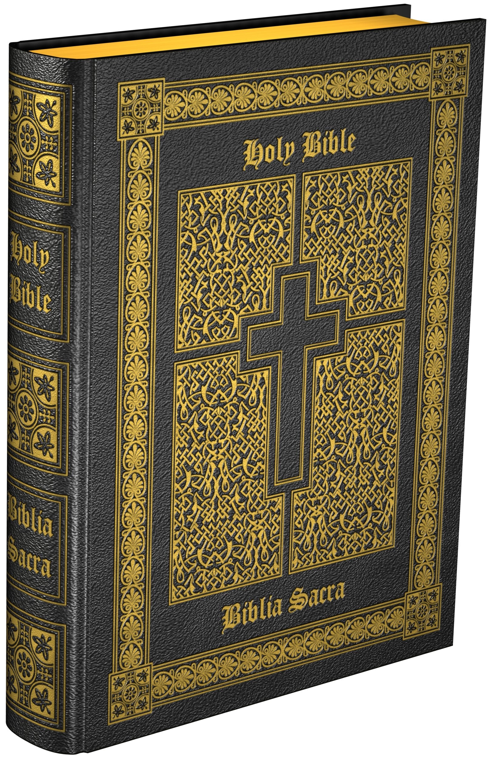 Douay-Rheims and Clementina Vulgata: English-Latin Bible Religion & Esotericism