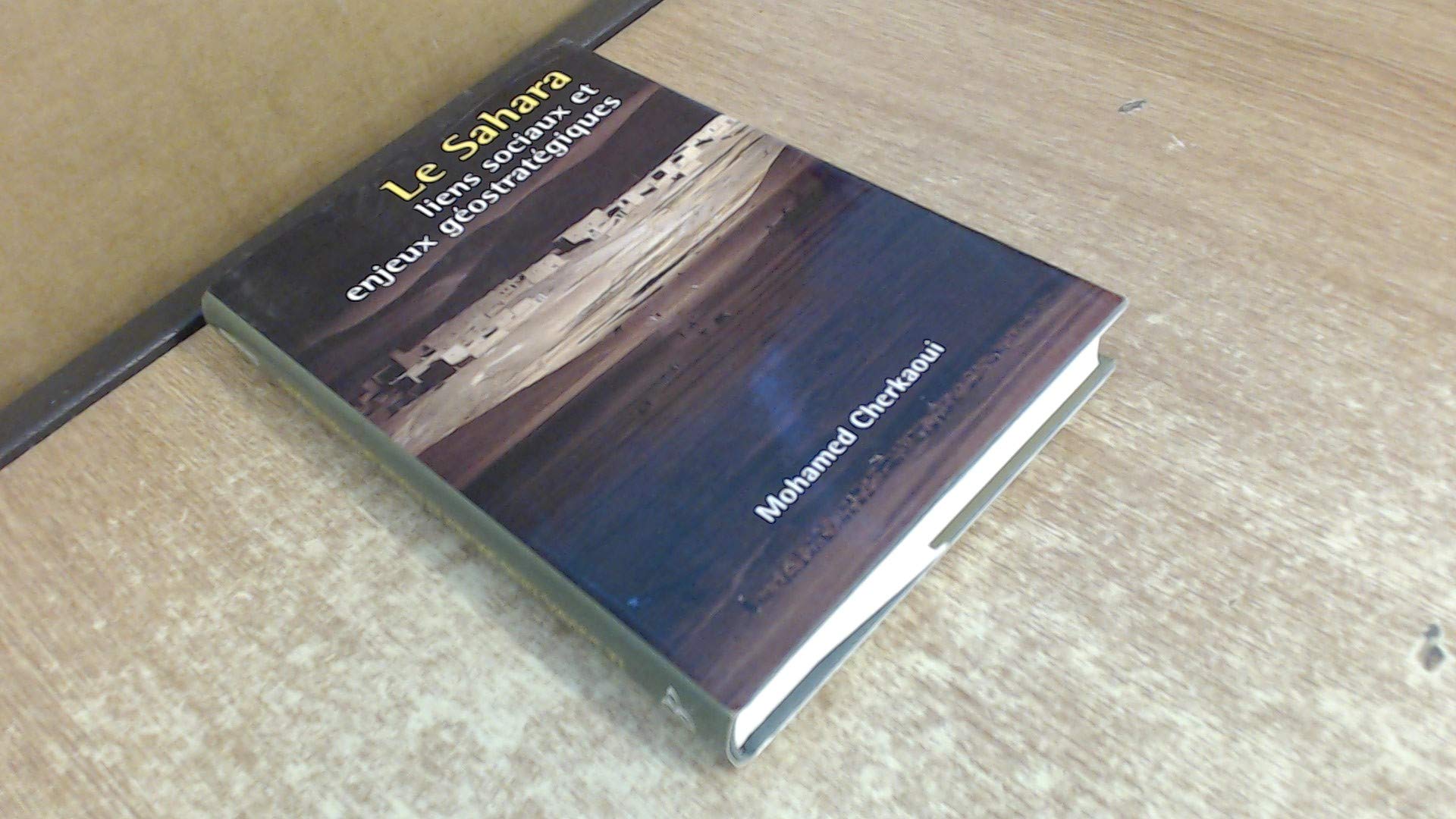 Le Sahara, Liens Sociaux et Enjeux Geostrategiques Politics & History
